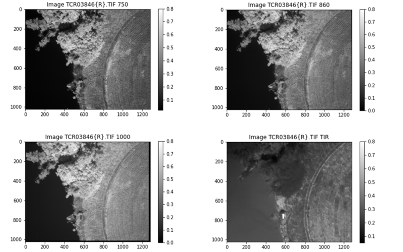 NESDIS images of seals